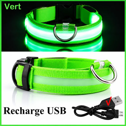 Collier lumineux vert allumé et son câble de recharge USB