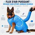 Flux d'air puissant : berger allemand dans le sac de séchage, air chaud à 360°