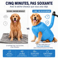Cinq minutes au lieu de soixante : golden retriever mouillé, puis au chaud dans le sac
