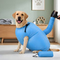 Labrador dans le sac de séchage, pochette de rangement à côté