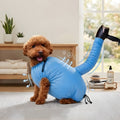 Caniche abricot dans le sac de séchage